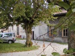atelier-cour.jpg